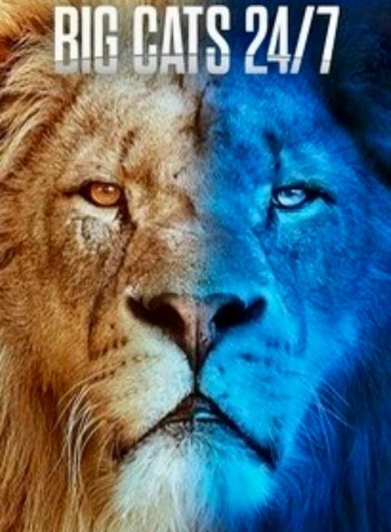 دانلود سریال Big Cats 24/7 2024 شبانه روز با گربه های بزرگ با زیرنویس فارسی